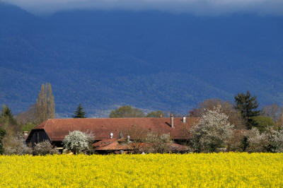 photo cartigny geneve